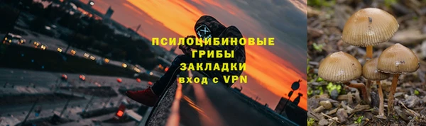 mix Козельск