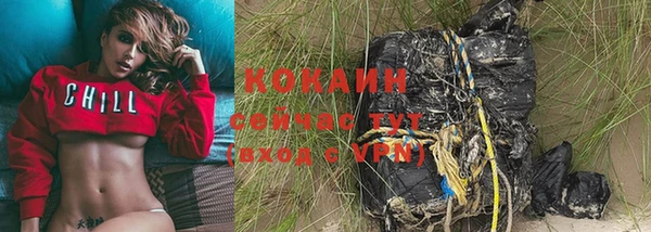 mix Козельск